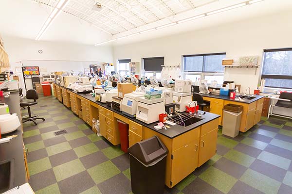 Microbiology and Biotechnology Lab (207)